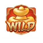 สัญลักษณ์wild